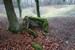 image21