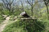 image11