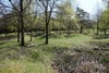 image13