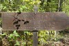 image09