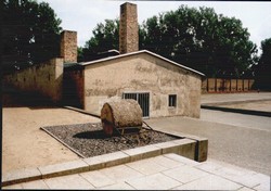 image10
