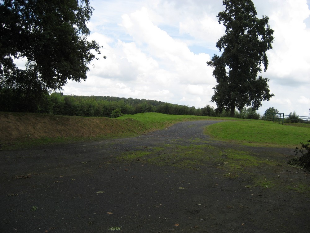 image10