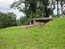image11