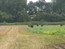 image14