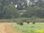 image15
