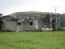image17