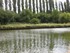 image01