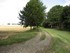 image10