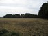 image12