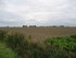 image13